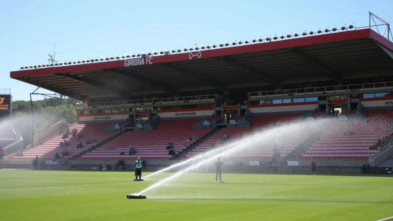 Feyenoord: À Procura de Domínio